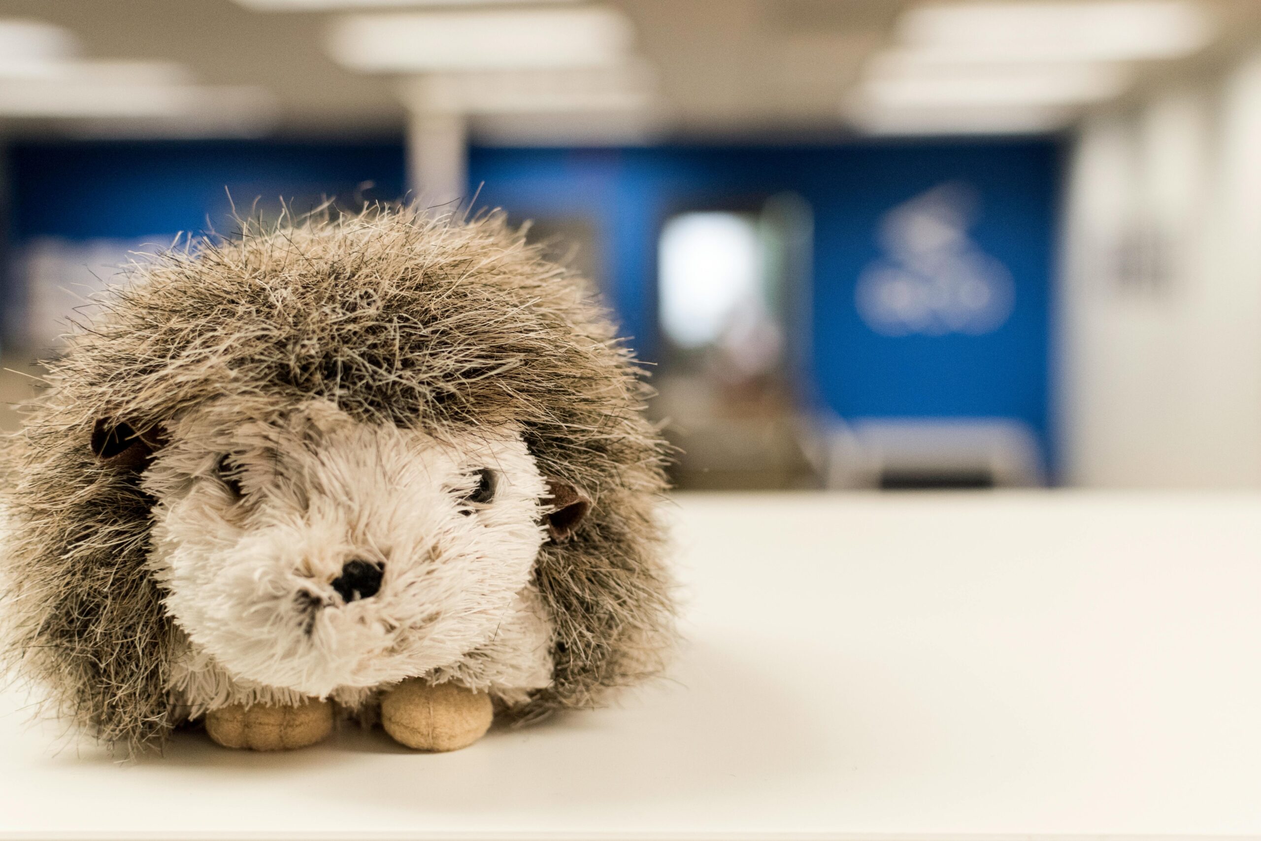 plüschtier auf einem schreibtisch zum thema homeoffice mit kindern